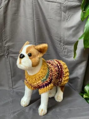 Fall Collection Sweater