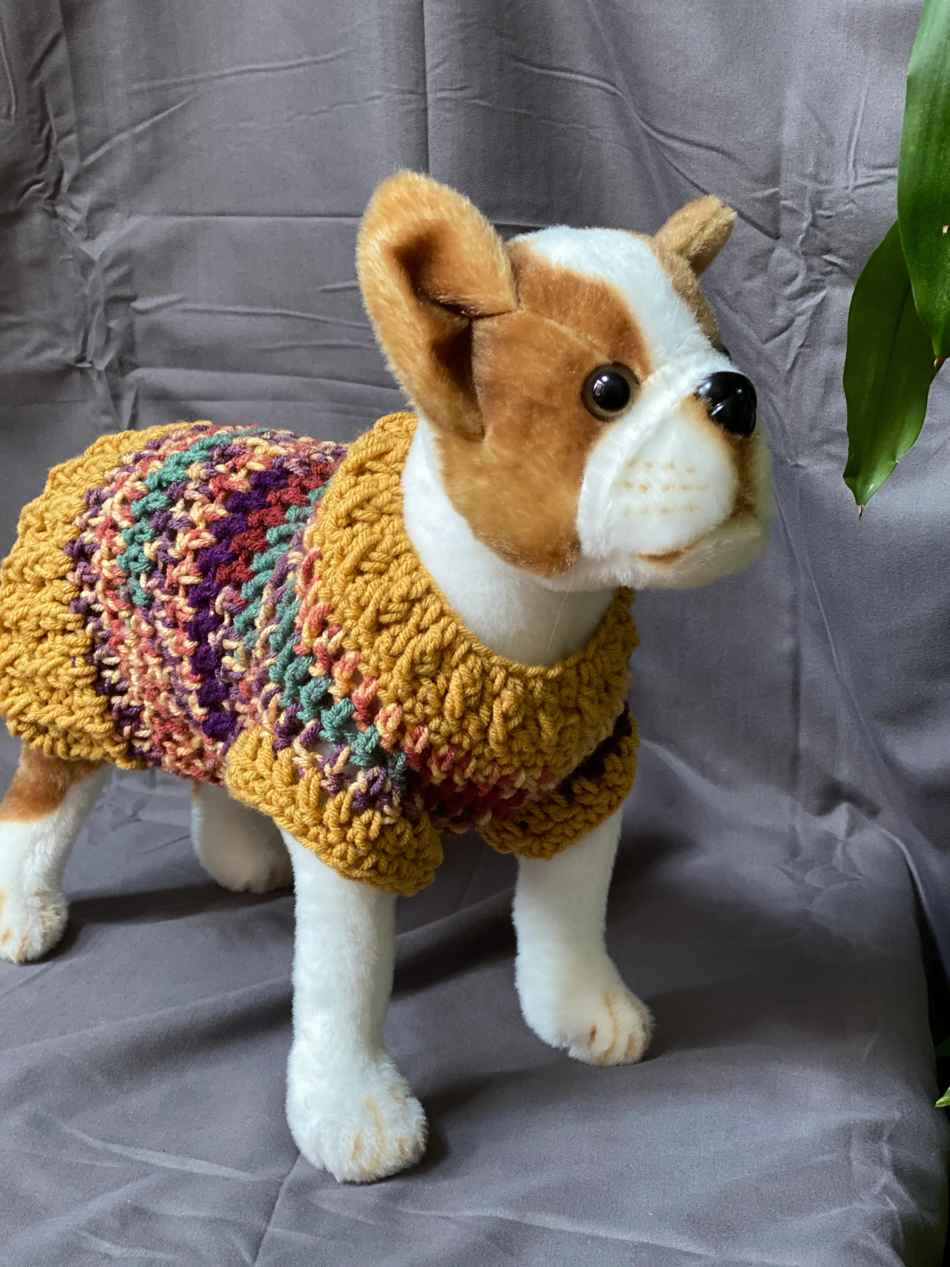 Fall Collection Sweater