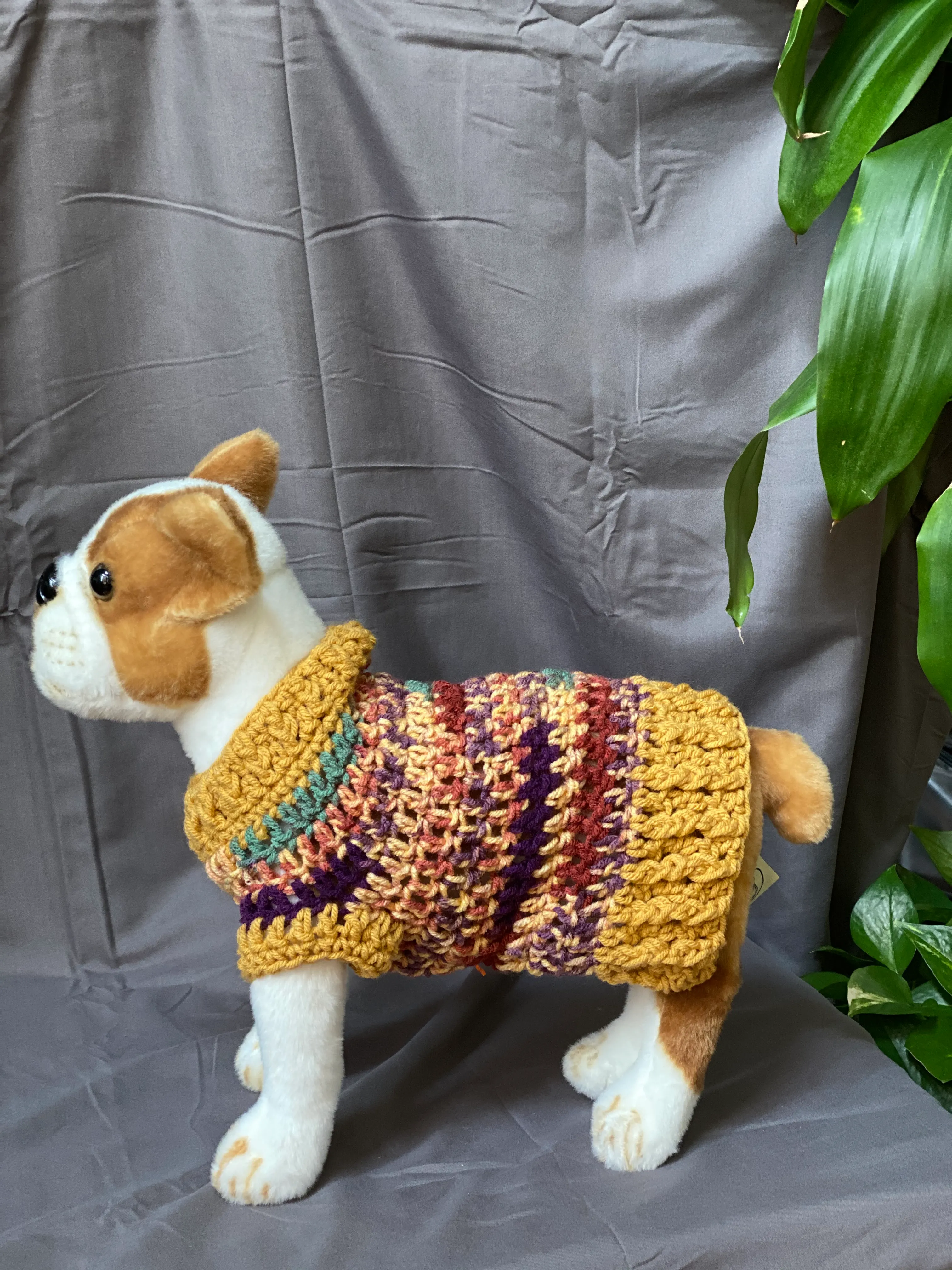 Fall Collection Sweater