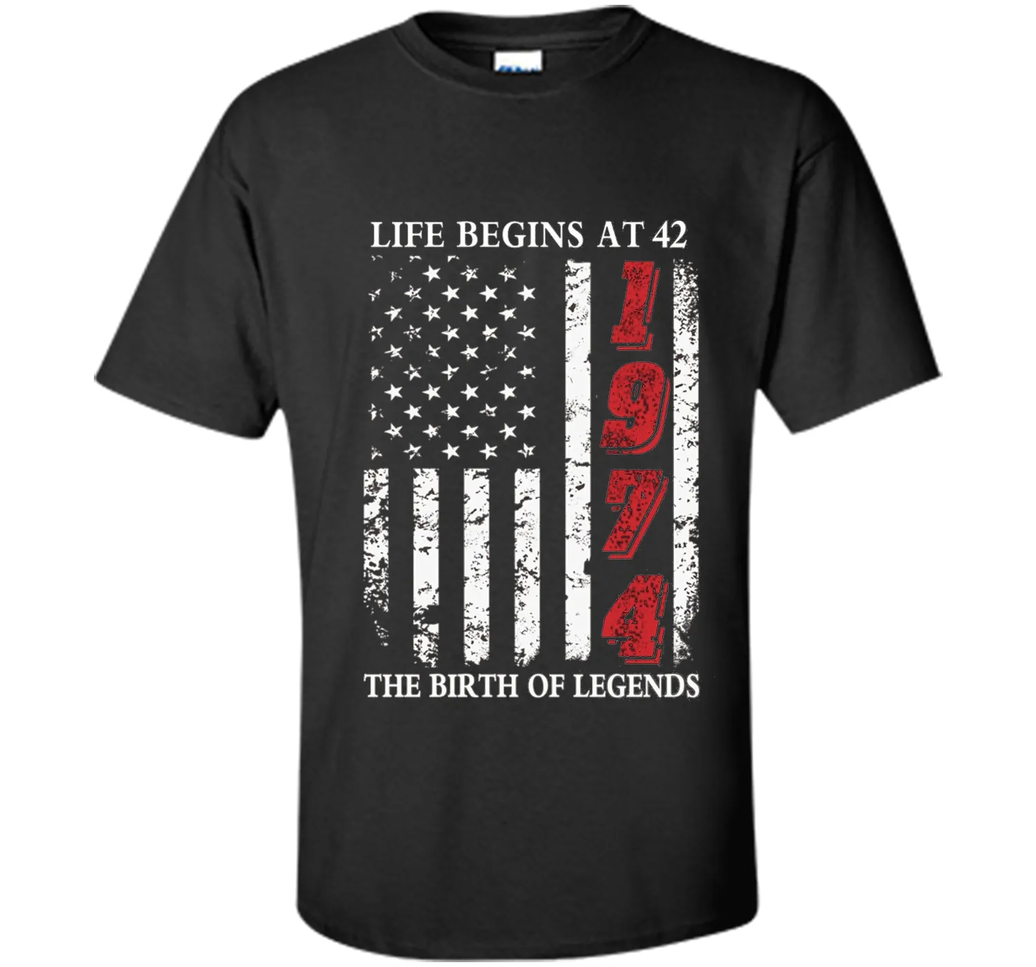 Life Begins At 42 The Birth Of Legends t-shirt