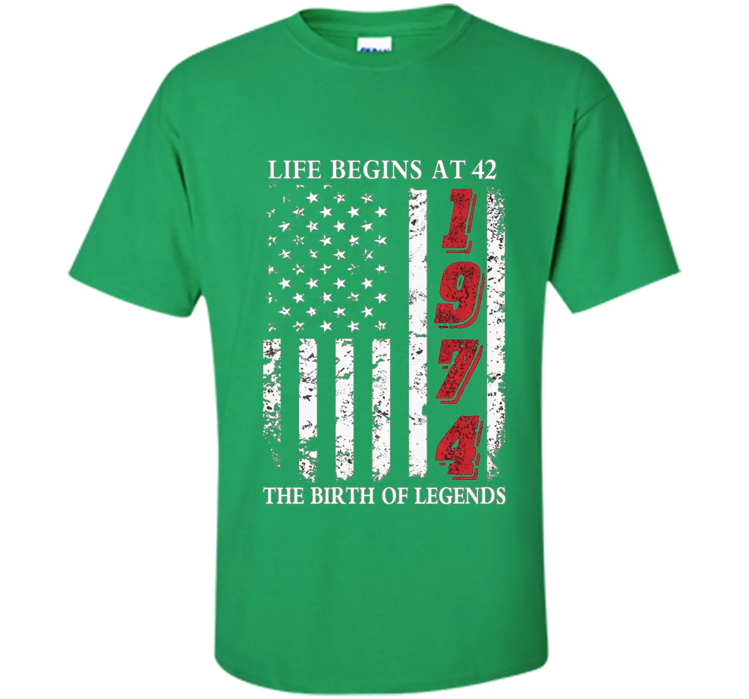 Life Begins At 42 The Birth Of Legends t-shirt