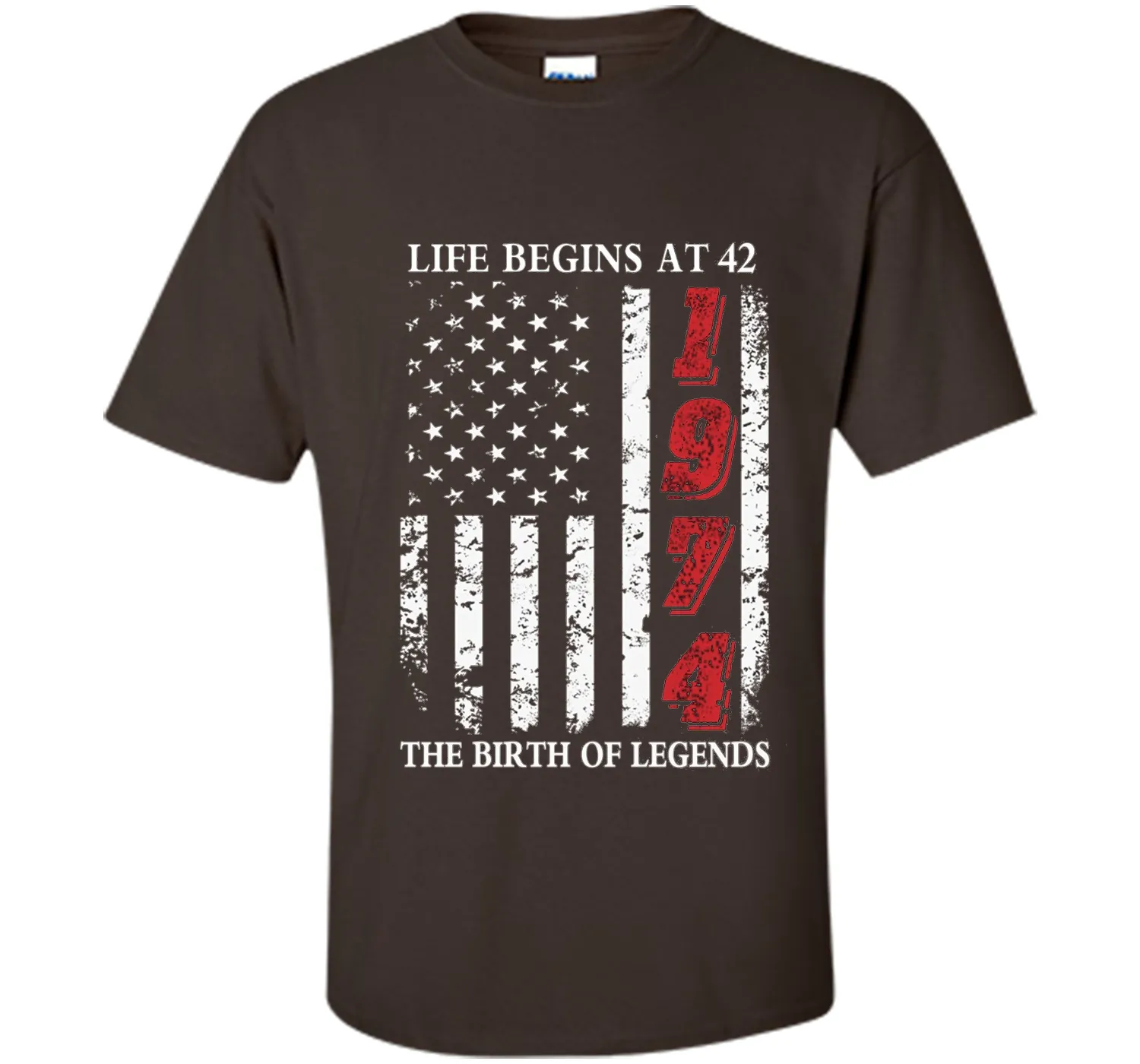 Life Begins At 42 The Birth Of Legends t-shirt