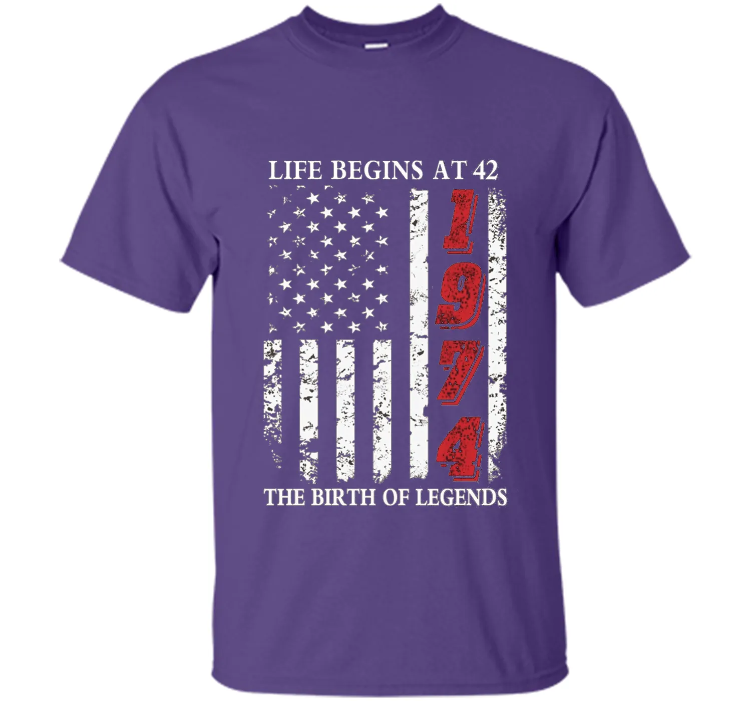 Life Begins At 42 The Birth Of Legends t-shirt