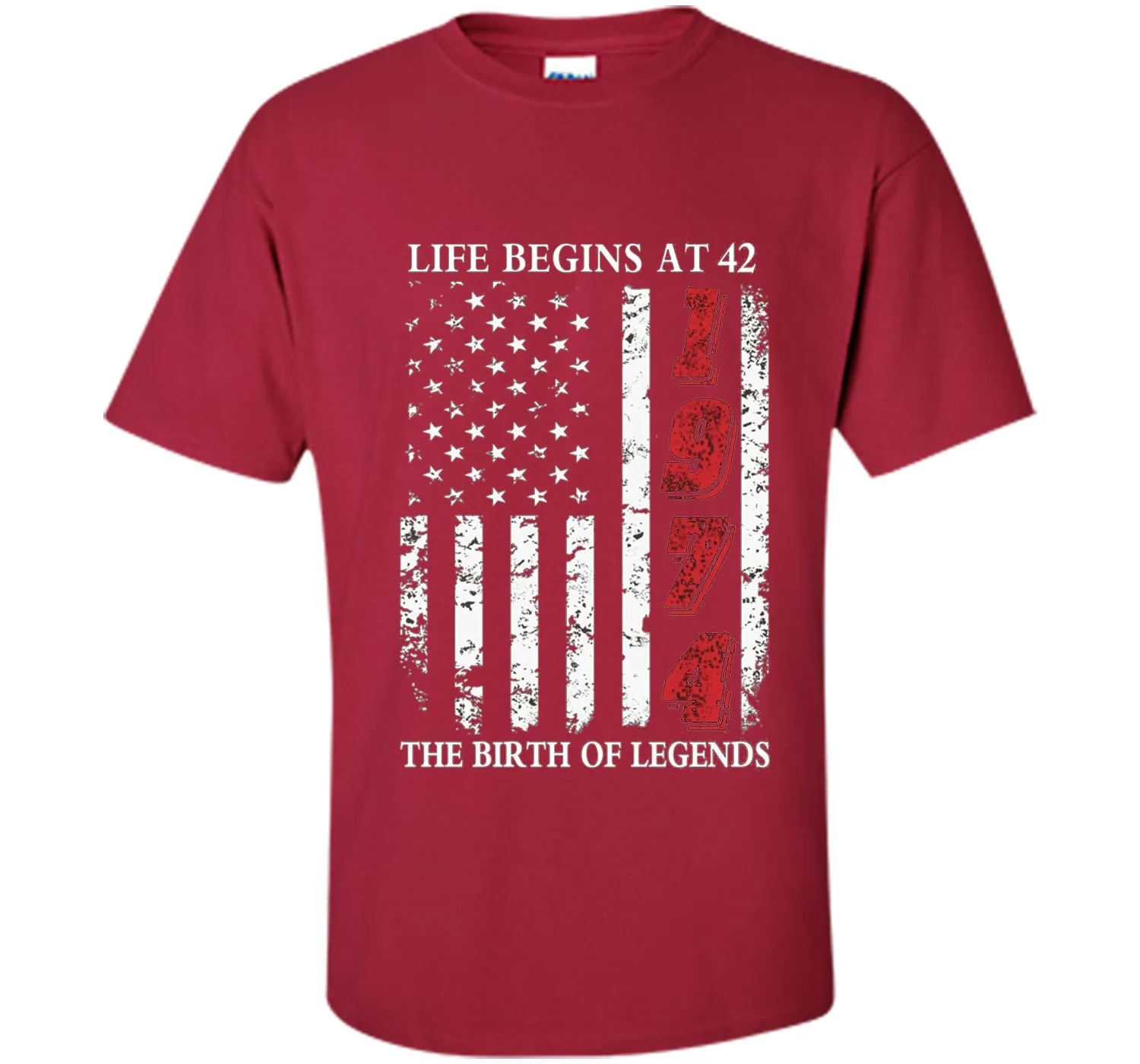 Life Begins At 42 The Birth Of Legends t-shirt