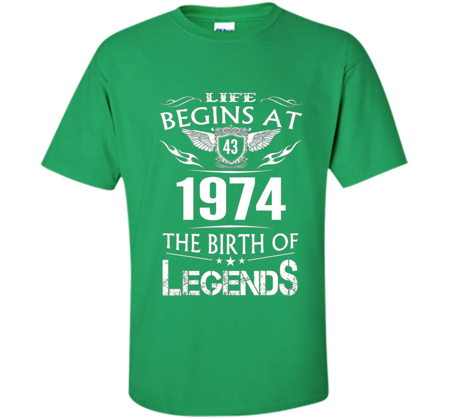 Life Begins At 43 1974 The Birth Of Legends T-Shirt t-shirt