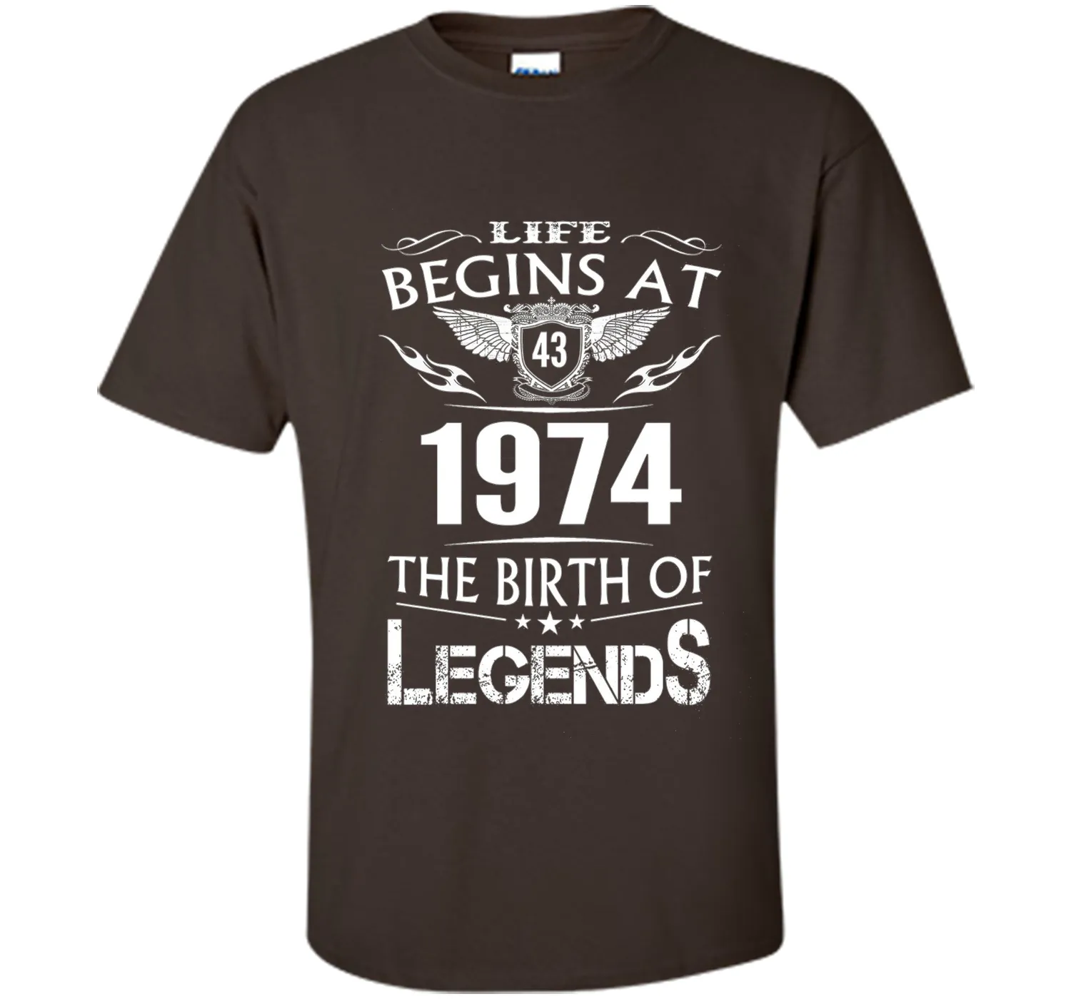 Life Begins At 43 1974 The Birth Of Legends T-Shirt t-shirt