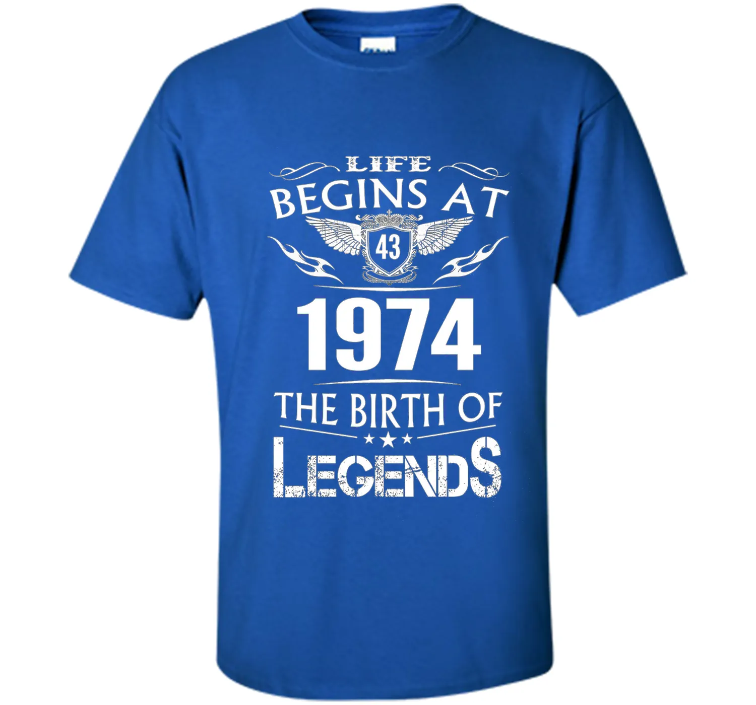 Life Begins At 43 1974 The Birth Of Legends T-Shirt t-shirt