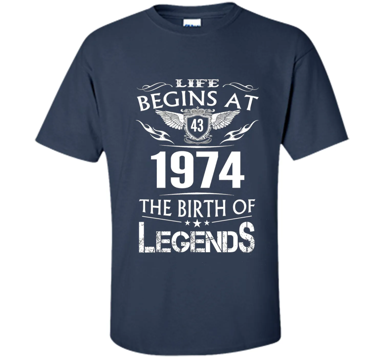 Life Begins At 43 1974 The Birth Of Legends T-Shirt t-shirt