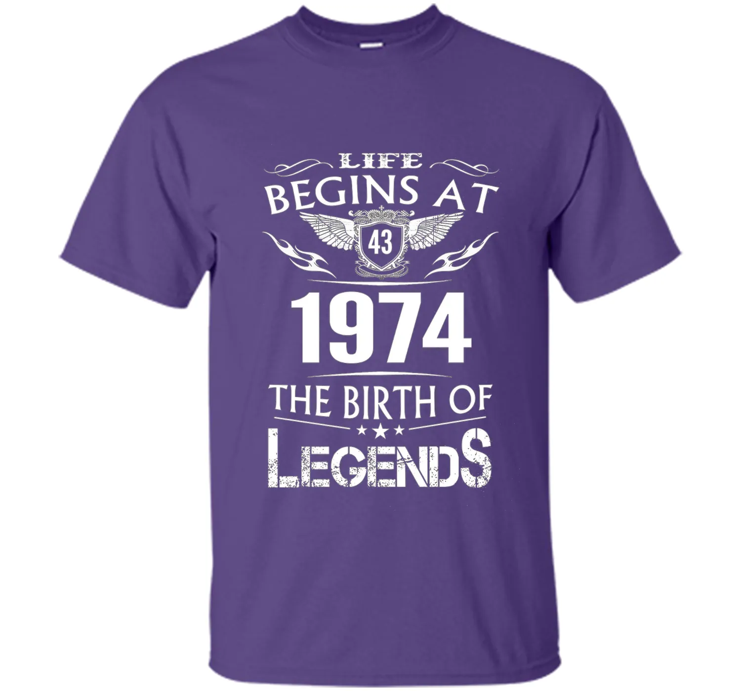 Life Begins At 43 1974 The Birth Of Legends T-Shirt t-shirt