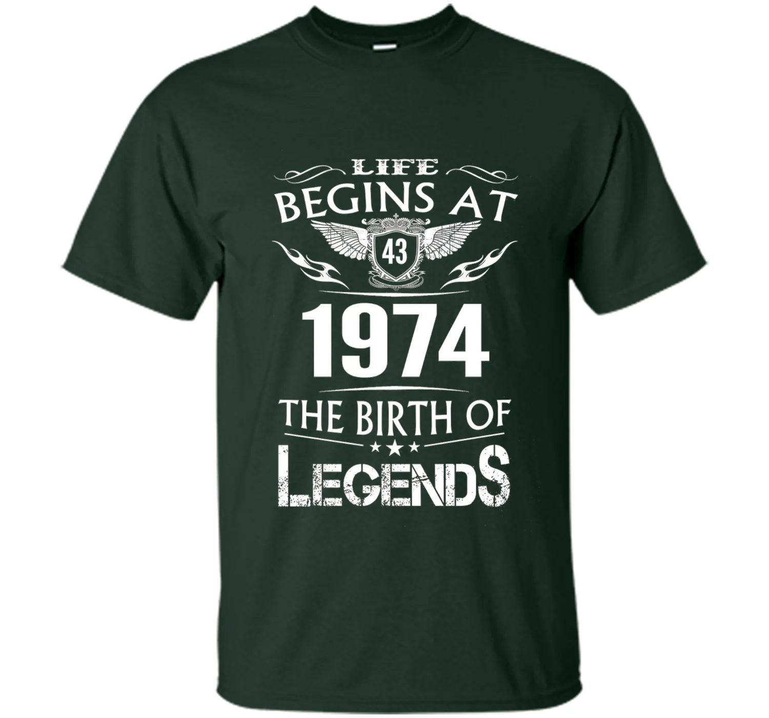 Life Begins At 43 1974 The Birth Of Legends T-Shirt t-shirt