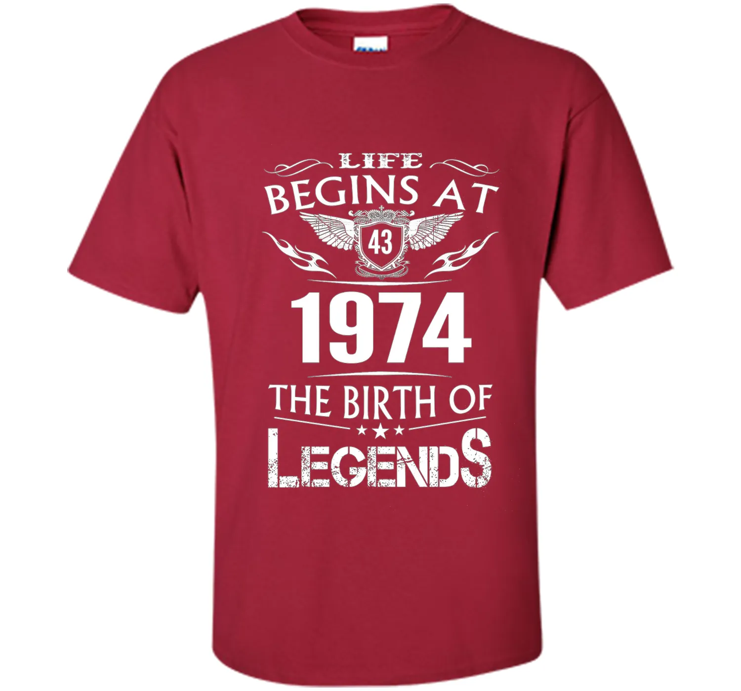 Life Begins At 43 1974 The Birth Of Legends T-Shirt t-shirt