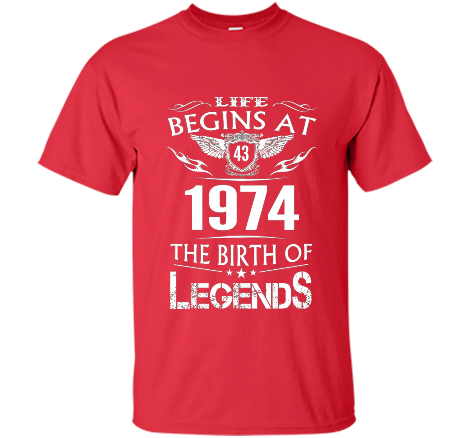 Life Begins At 43 1974 The Birth Of Legends T-Shirt t-shirt