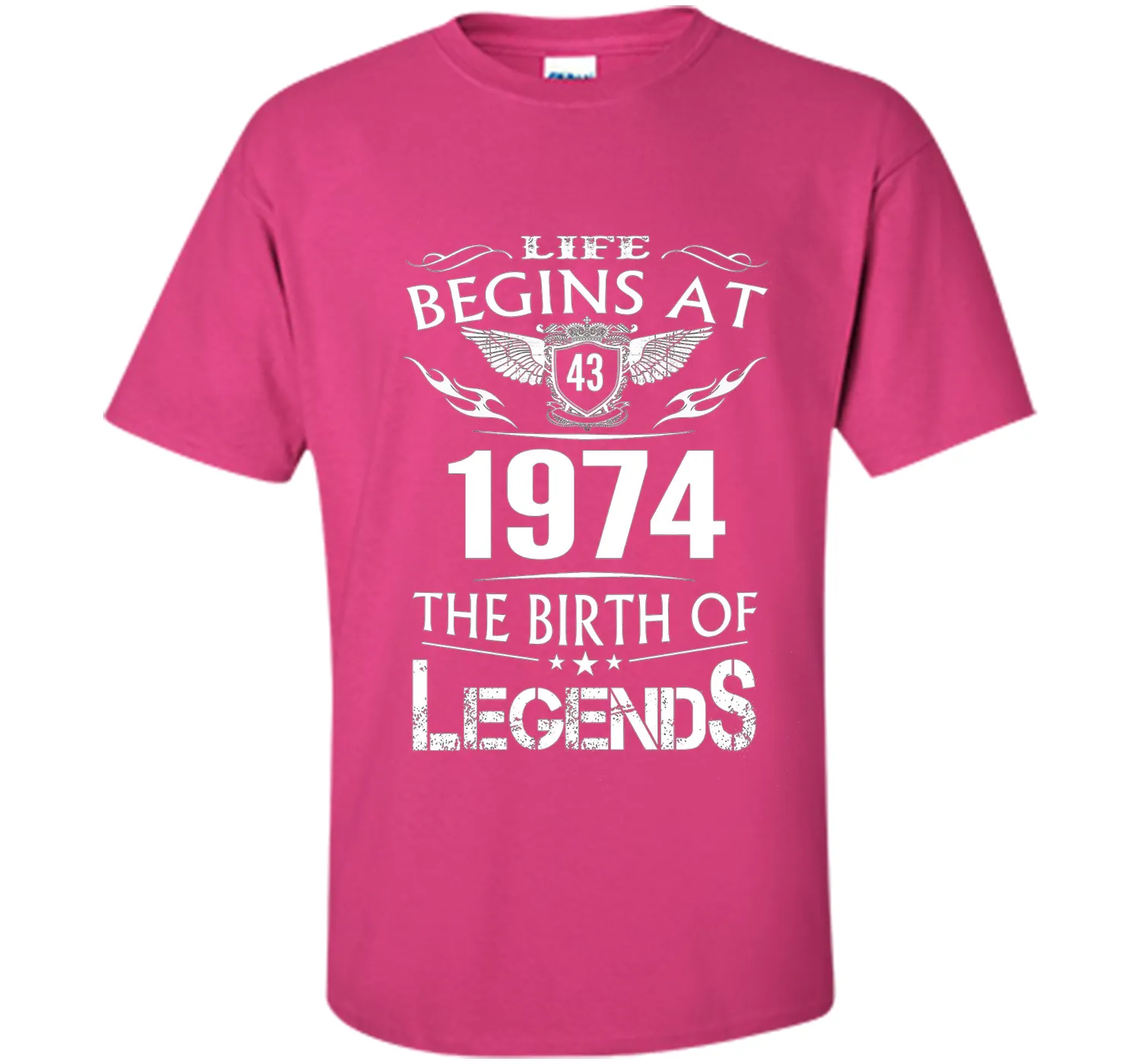 Life Begins At 43 1974 The Birth Of Legends T-Shirt t-shirt