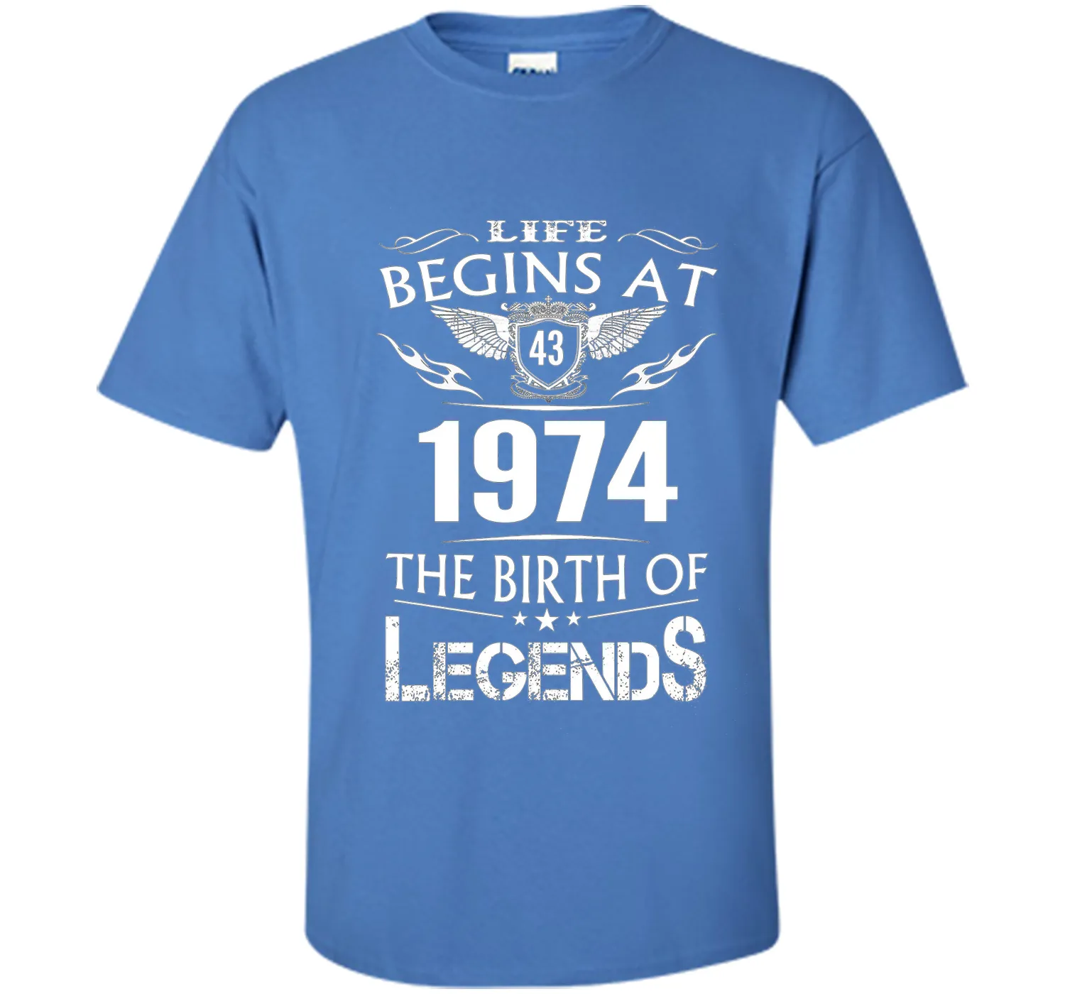 Life Begins At 43 1974 The Birth Of Legends T-Shirt t-shirt