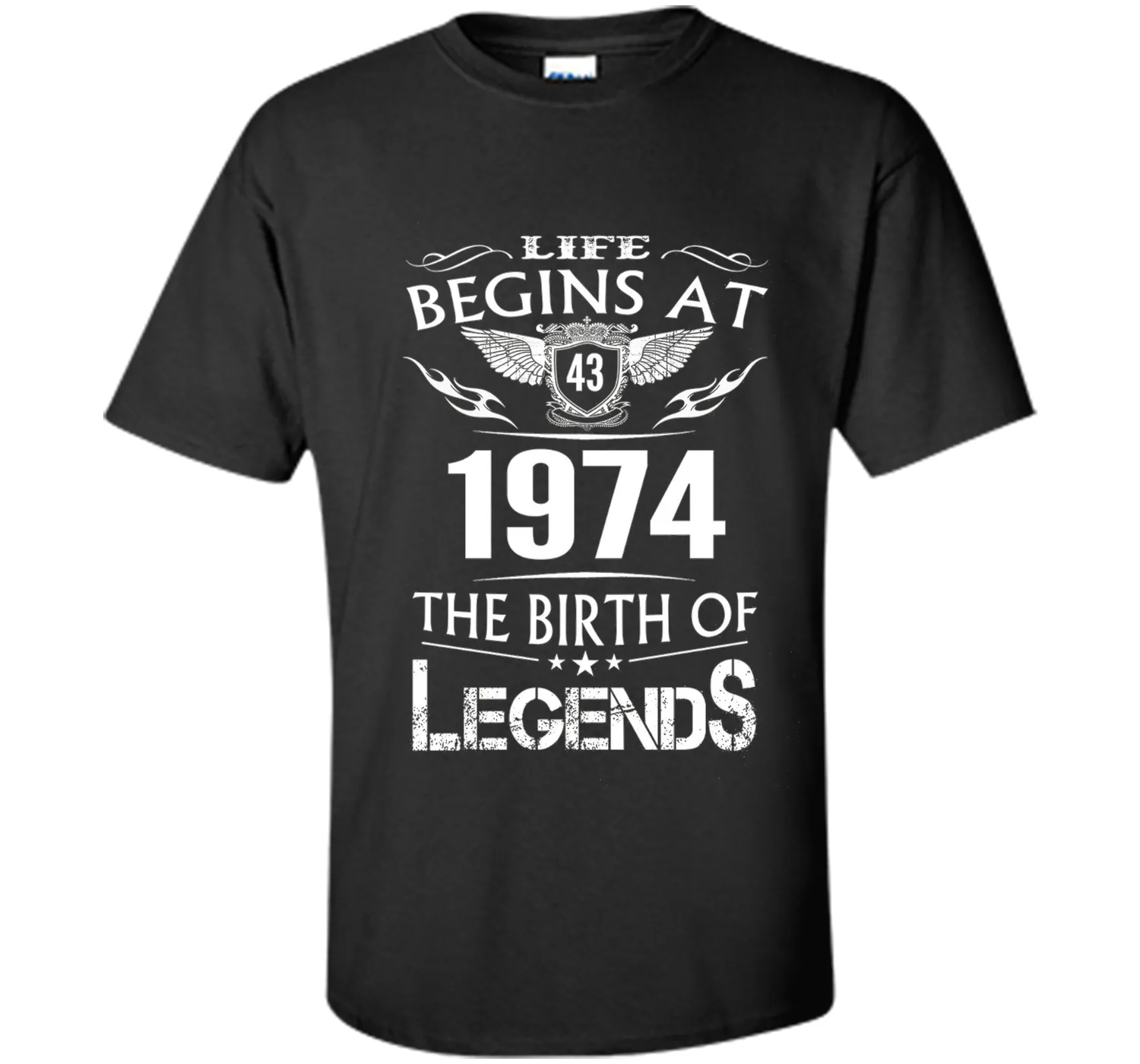 Life Begins At 43 1974 The Birth Of Legends T-Shirt t-shirt